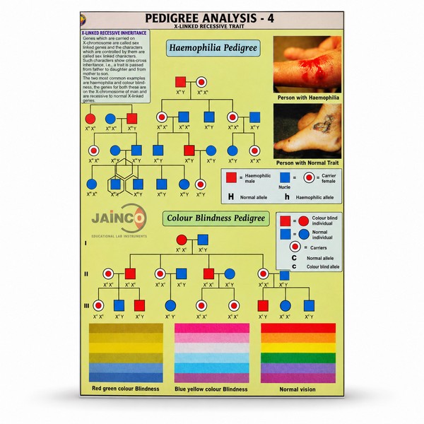 Pedigree Analysis - 4